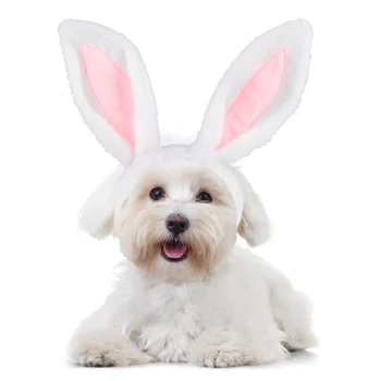 1 Adet Güzel Paskalya Sevimli Kostüm Paskalya Kap Tavşan Tavşan Şapka Kulakları ile Tavşan Kulakları Kedi ve Küçük Köpekler İçin Evcil Hayvan Kostüm Aksesuarları