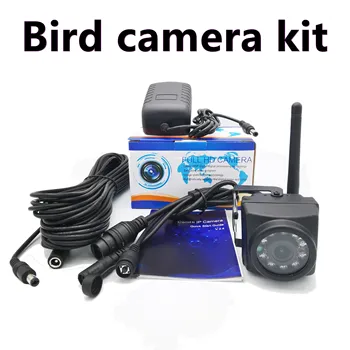 5MP Ses Birdcam Kiti 1080P Gece Görüş Açık WİFİ IP Kamera Yuva Kuş gözlem kamerası Seti Kiti Wifi Su Geçirmez Pikap Camhi