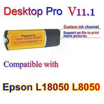 Epson L18050 L8050 Uv Rıp Yazılımı Dtf Yazıcı Dongle Rıp Usb Lisans Sopa Anahtar Programı V11 Masaüstü 11.1 Geniş Formatlı Dtg Rıp