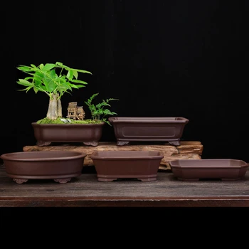 Kare Mor Kum Saksı Çin Basit Antika Dikdörtgen Bonsai Saksı Dekorasyon Pişmiş Toprak Etli Dikim Pot