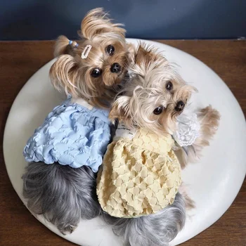 Kore Mavi Sarı Pet Köpek Giysileri Moda Sling Kabak Etek Küçük Orta Köpek Chihuahua Yorkshire Yaz İnce Köpek Elbise