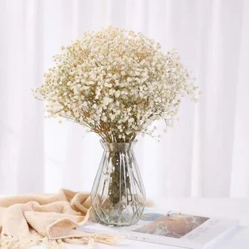 Kurutulmuş Bebek Nefes Çiçek Buketleri Renkli Beyaz Gypsophile Doğal Kuru Çiçek Gypsophila Düğün Dekorasyon İskandinav Ev Dekor