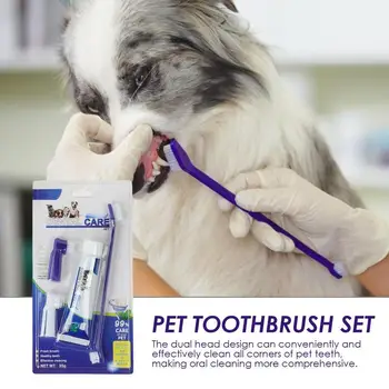 Köpek Diş Fırçaları Ve Diş Macunu Yavru Yavru Diş Fırçalama Essentials İçin Ev Pet Mağaza Pet Hastane Pet Barınak Aksesuarları