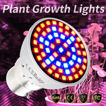 Led Phyto büyüme ışığı E27 Led bitki büyümek lamba GU10 tam spektrum E14 sera aydınlatması B22 büyüyen Phyto ışık büyümek çadır MR16
