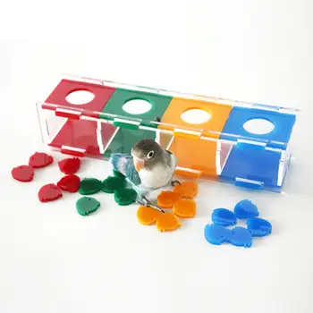 Papağan zeka geliştiren oyuncak Renk Ayırma bozuk para kutusu Zeka Eğitimi Ve İnteraktif Oyun Oyuncak Afrika Papağanı Amerika Papağanı